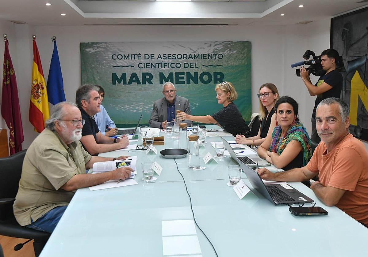 Reunión extraordinaria del Comité Científico del Mar Menor, ayer, en la sede de la Consejería de Medio Ambiente.