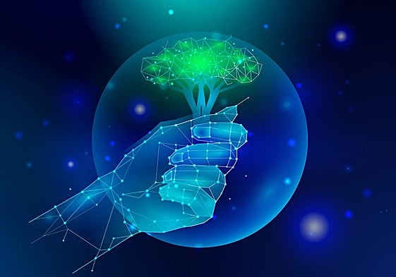 La transformación de las pymes a base de innovación y sostenibilidad