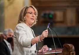 La diputada de Vox en el Congreso Lourdes Méndez.