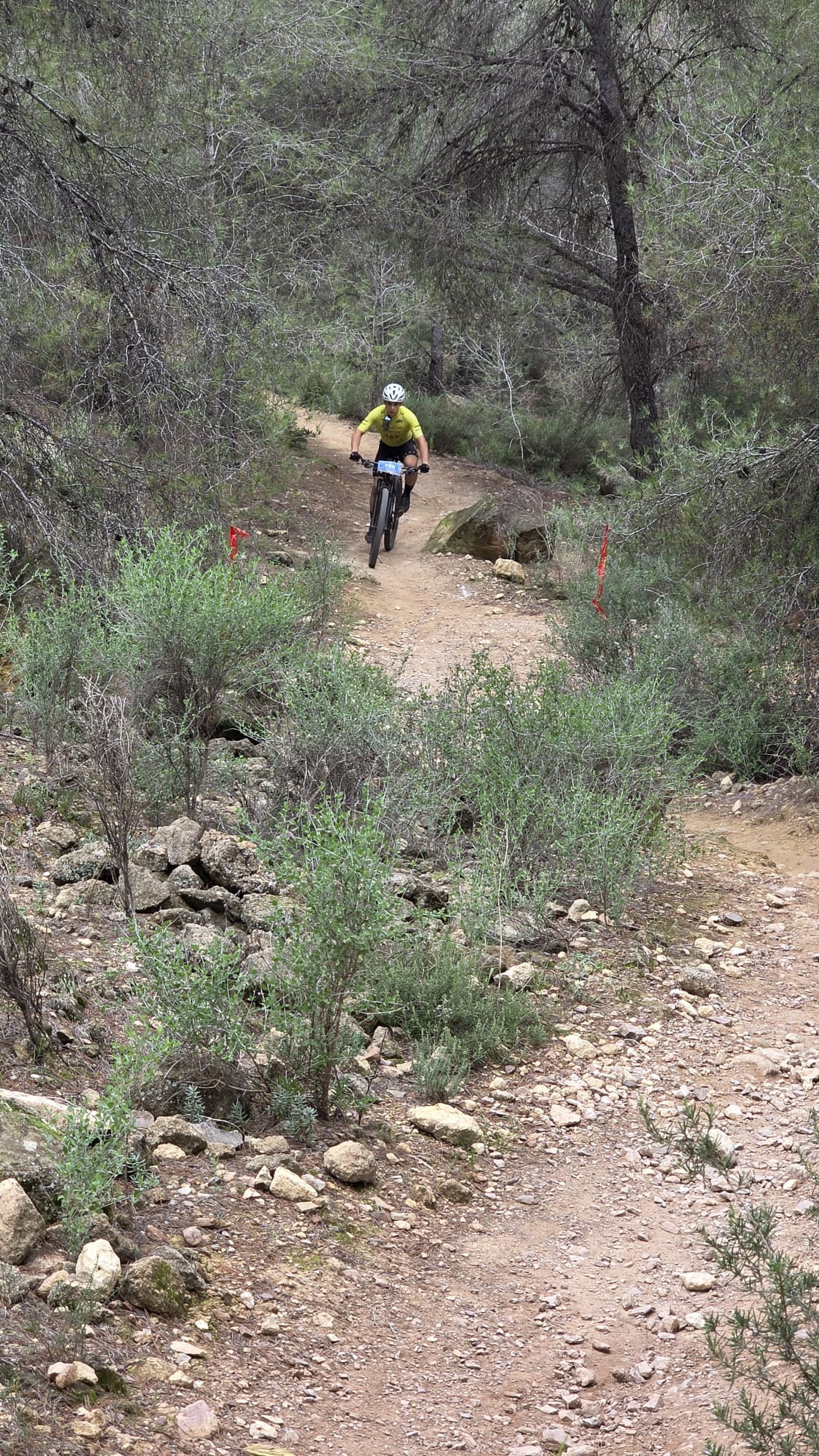 La Integral de la Cabra 2025, en imágenes