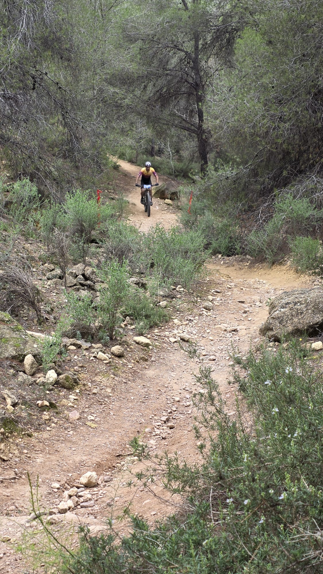 La Integral de la Cabra 2025, en imágenes