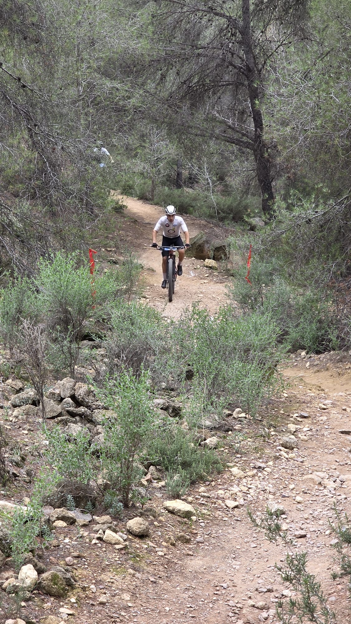 La Integral de la Cabra 2025, en imágenes