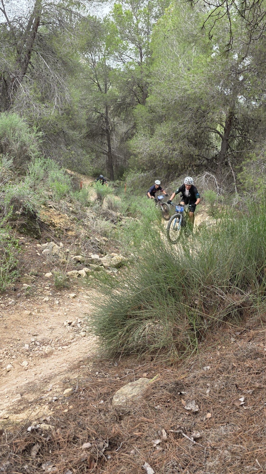 La Integral de la Cabra 2025, en imágenes
