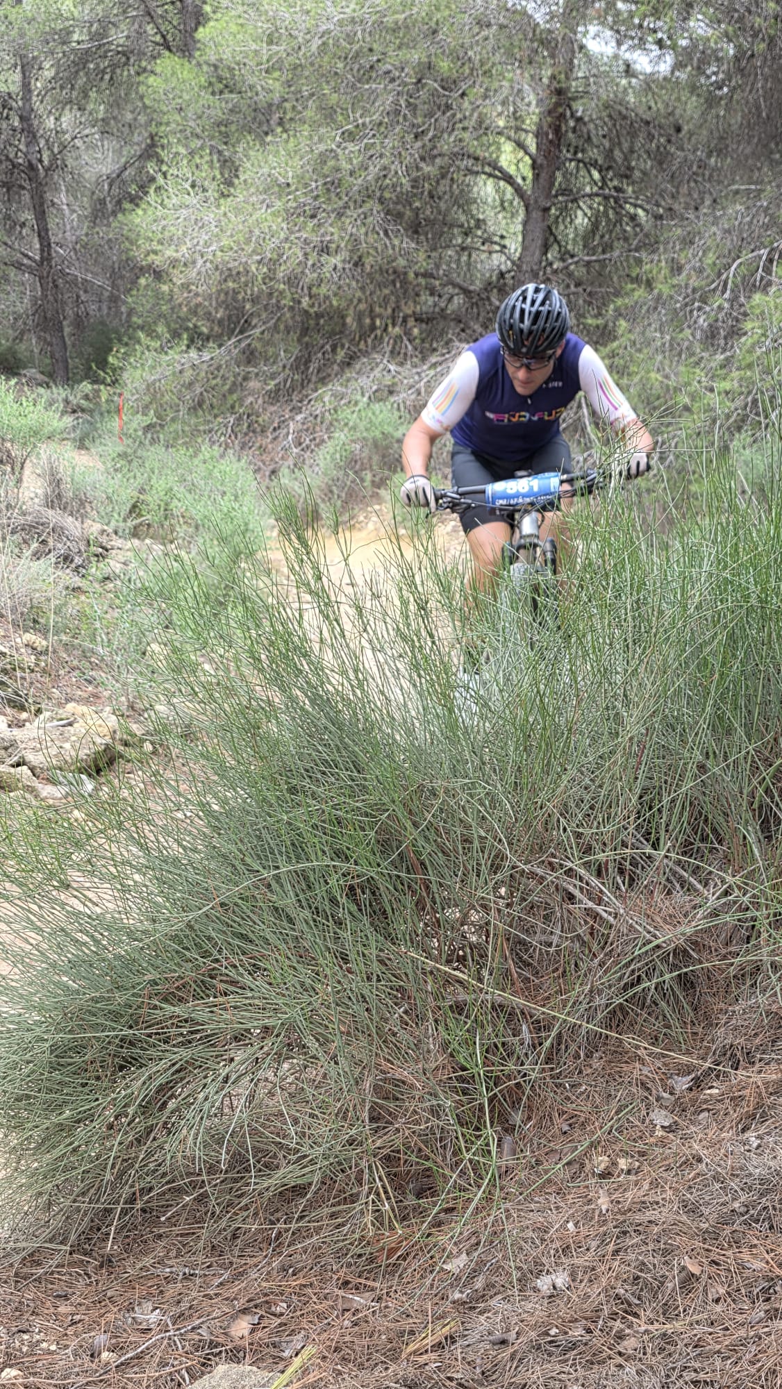 La Integral de la Cabra 2025, en imágenes