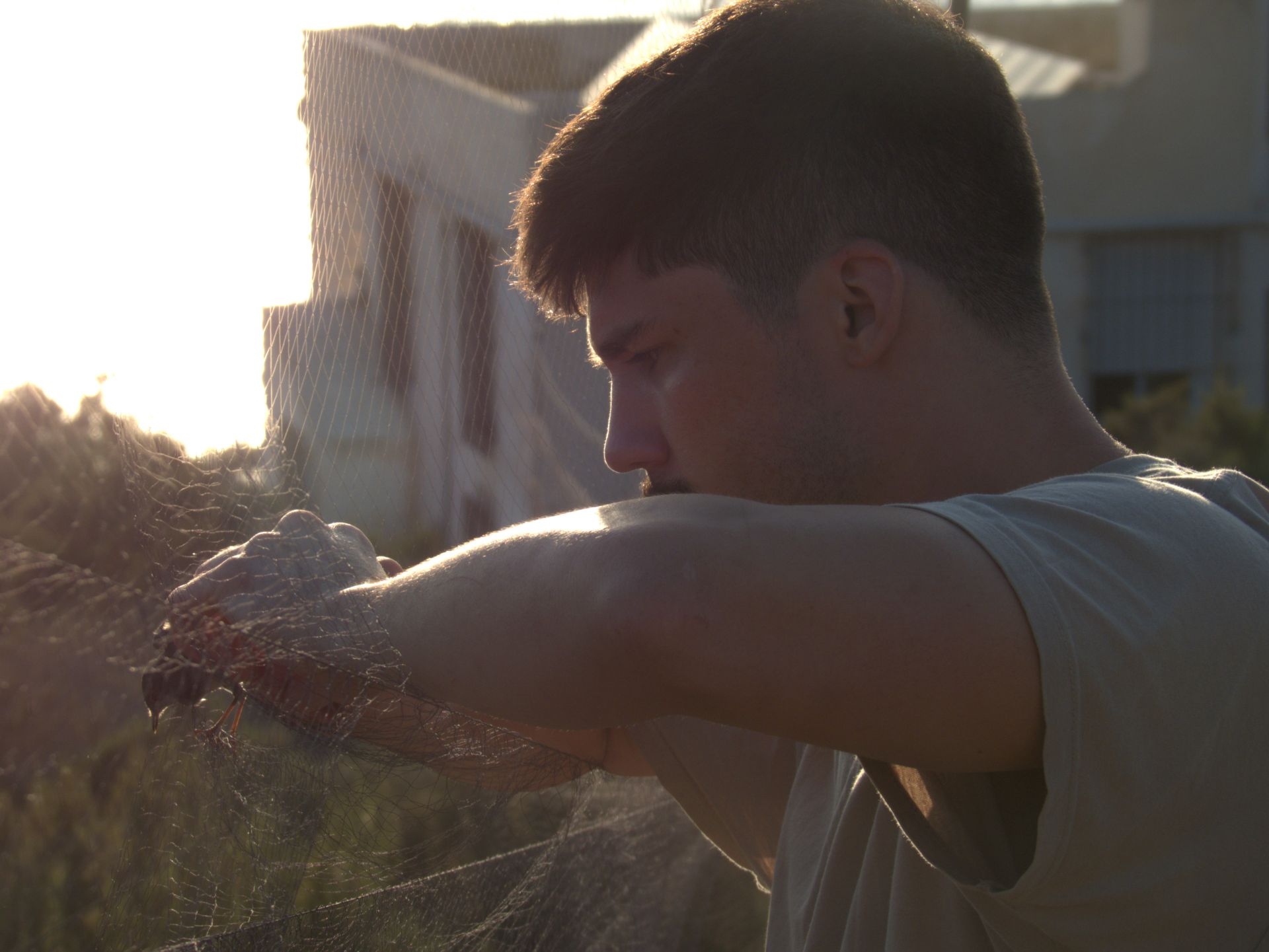 Anillamiento de aves a su paso por Isla Grosa