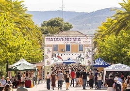 Asistentes a la feria.