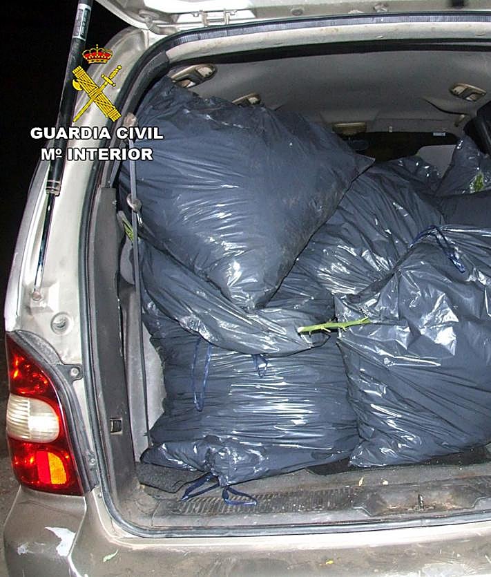 Imagen secundaria 2 - Desmantelan en Águilas dos invernaderos con más de 800 plantas de marihuana