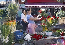 Venta de flores en Cartagena por el Día de Todos los Santos, en imágenes
