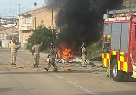 Los bomberos, en Cobatillas, apagan el incendio en la furgoneta.