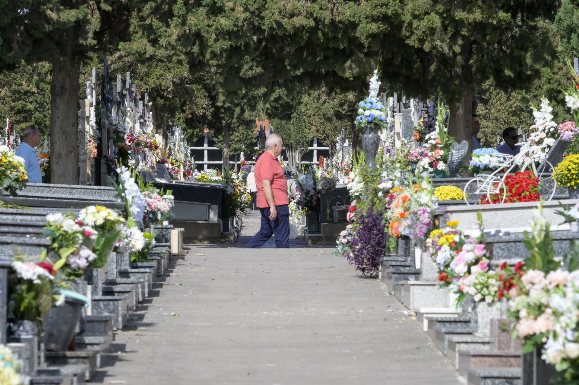 La festividad de Todos los Santos en Murcia, en imágenes