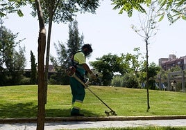 Un operario de Parques y Jardines corta el césped de uno de los parques con zonas verdes del municipio.