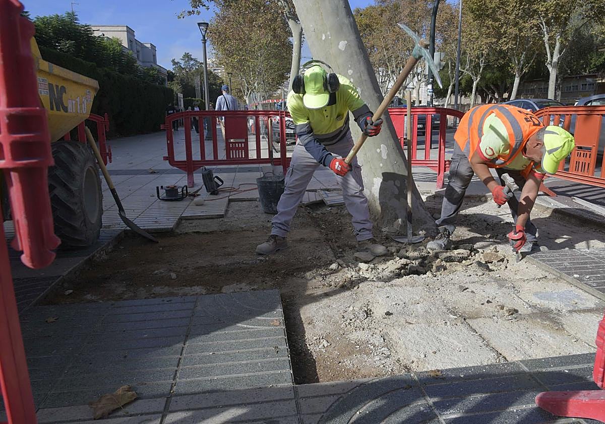 Operarios reparan las aceras del Paseo, este lunes.