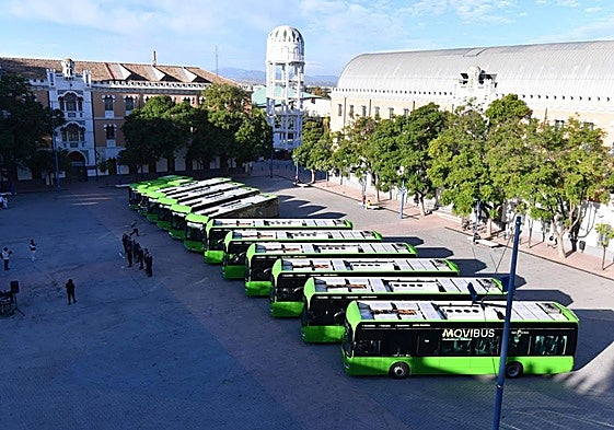 Los doce autobuses, este viernes, en Murcia.
