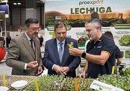 El ministro de Agricultura, Luis Planas, junto a Cecilio Peregrín y Fernando Gómez en el expositor de Proexport.