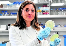 La doctora Ana Allende, del Cebas-CSIC, con unas muestras en el laboratorio.