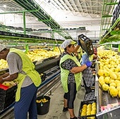 El sector de los cítricos carga contra los requisitos extra de los supermercados europeos