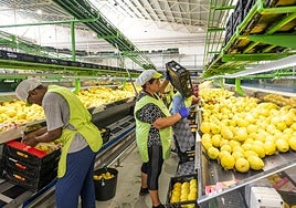 El sector de los cítricos carga contra los requisitos extra de los supermercados europeos