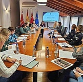 La reunión de la Mesa Local de Coordinación de Violencia de Género que tuvo lugar en dependencias municipales del edificio del Palacio de los Uribe.
