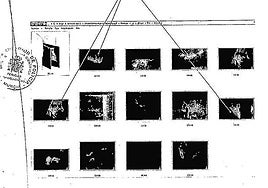 Informe de la Policía Nacional sobre el estudio de los elementos electrónicos del investigado.
