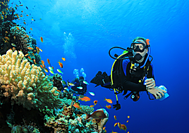 Don Juan Tenorio: Sueño y Realidad en el Cementerio de San Javier