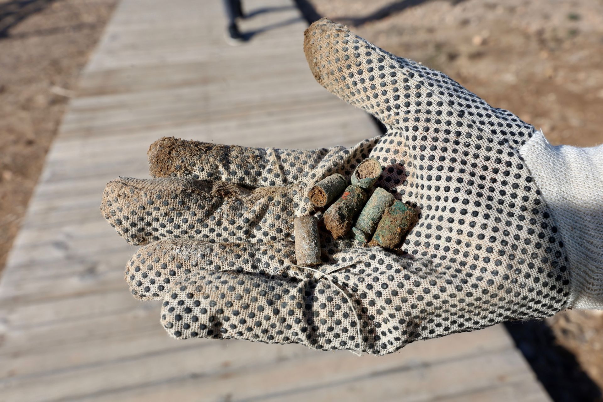 La recogida de basura en el paraje natural Menhir del Rame, en el Mar Menor, en imágenes