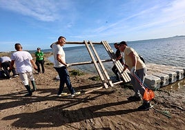 La recogida de basura en el paraje natural Menhir del Rame, en el Mar Menor, en imágenes