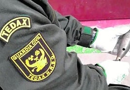 Imagen de archivo de un agente del TEDAX sosteniendo un artefacto explosivo.