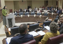 Los diputados escuchan a Virginia Martínez en el Pleno de la Asamblea Regional de este miércoles.