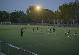 Campo Municipal de La Flota. Varios equipos de la AD Vistalegre se ejercitan el pasado jueves en diferentes partes del césped.