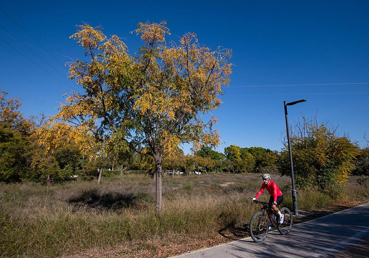 Un ciclista transita junto al área en la que se recuperará el meandro del Vivillo; el carril será reubicado.