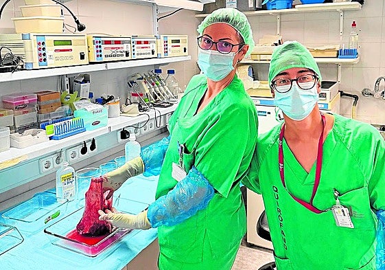 El investigador Marc Alcaraz (derecha) durante una extraccion de células en el laboratorio.