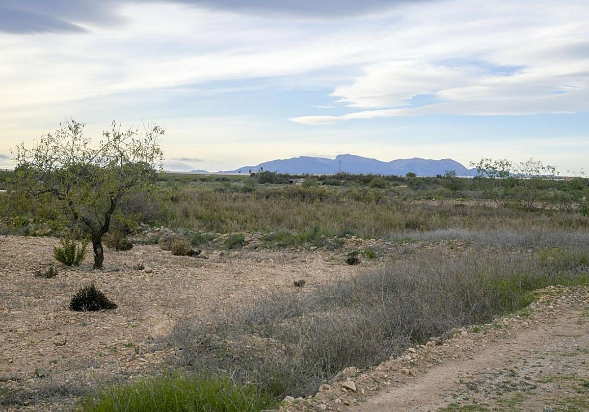 Terrenos de Los Derramadores, donde está proyectada la planta de biogás y fertilizantes.