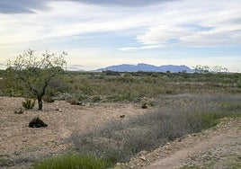Terrenos de Los Derramadores, donde está proyectada la planta de biogás y fertilizantes.