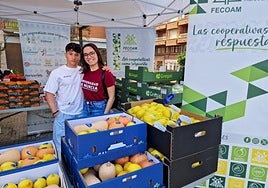 Voluntarios en el estand de Fecoam con los productos de temporada proporcionados por las cooperativas para las actividades.