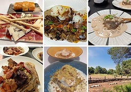 Tabla de jamón, cremoso de setas con huevo, alcachofa rellena de carrillera, migas con tajadas y torrija.