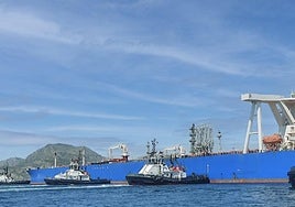 Flota de Boluda Towage, en Cartagena.
