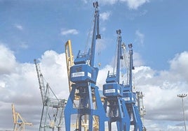 Grúas de Daniel Gómez Servicios Portuarios, en el Puerto de Cartagena.