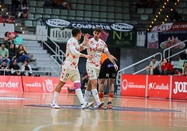 David Álvarez y Álex García celebran un gol de ElPozo en liga.