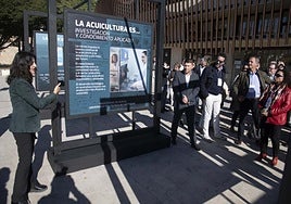 Noelia Ortega, CEO del CTN, haciendo una introducción en uno de los paneles, en concreto, el aportado por las universidades de Murcia y la Politécnica de Cartagena.