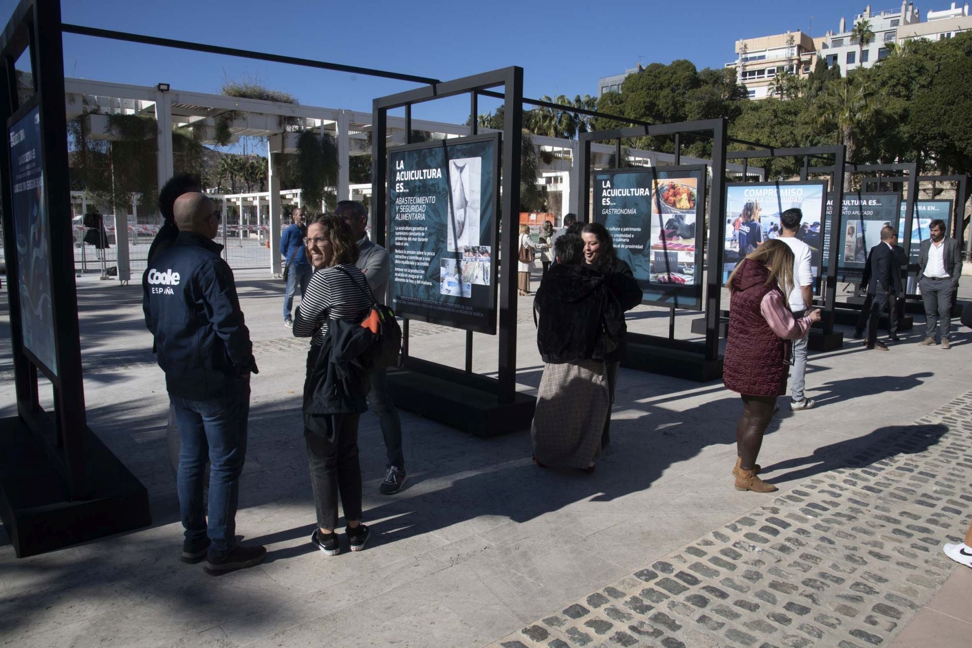 Las imágenes de la exposición &#039;La acuicultura es...&#039; en el Puerto de Cartagena