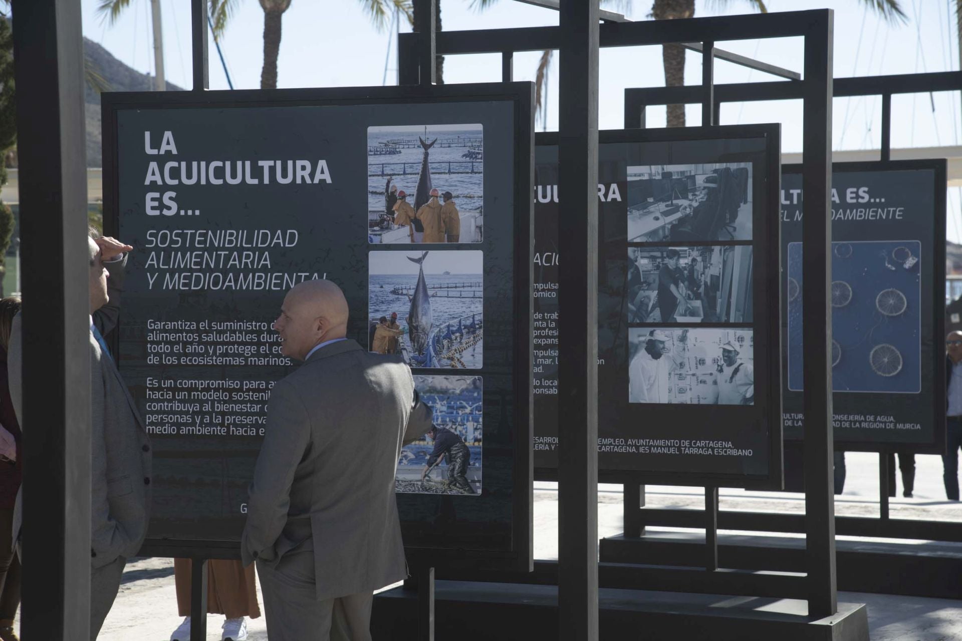 Las imágenes de la exposición &#039;La acuicultura es...&#039; en el Puerto de Cartagena