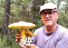 Félix Martínez con una 'Amanita caesarea', la única de esta especie que es comestible.