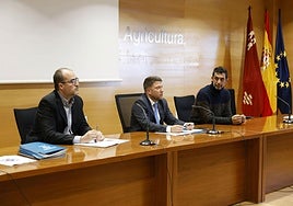 Reunión de coordinación entre la Consejería y veterinarios y ganaderos este lunes por la peste porcina africana.