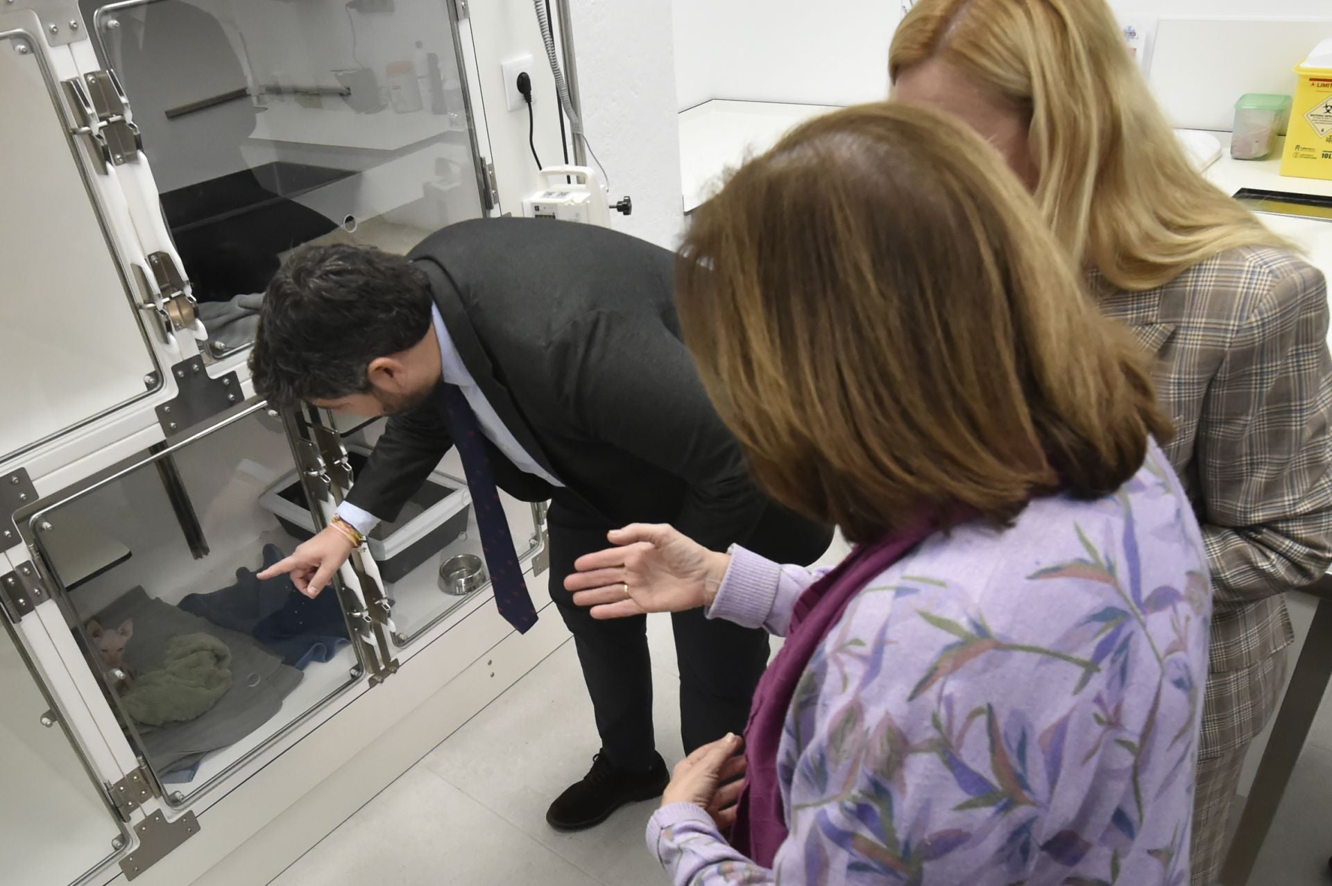 La inauguración del Hospital Veterinario de la UCAM, en imágenes
