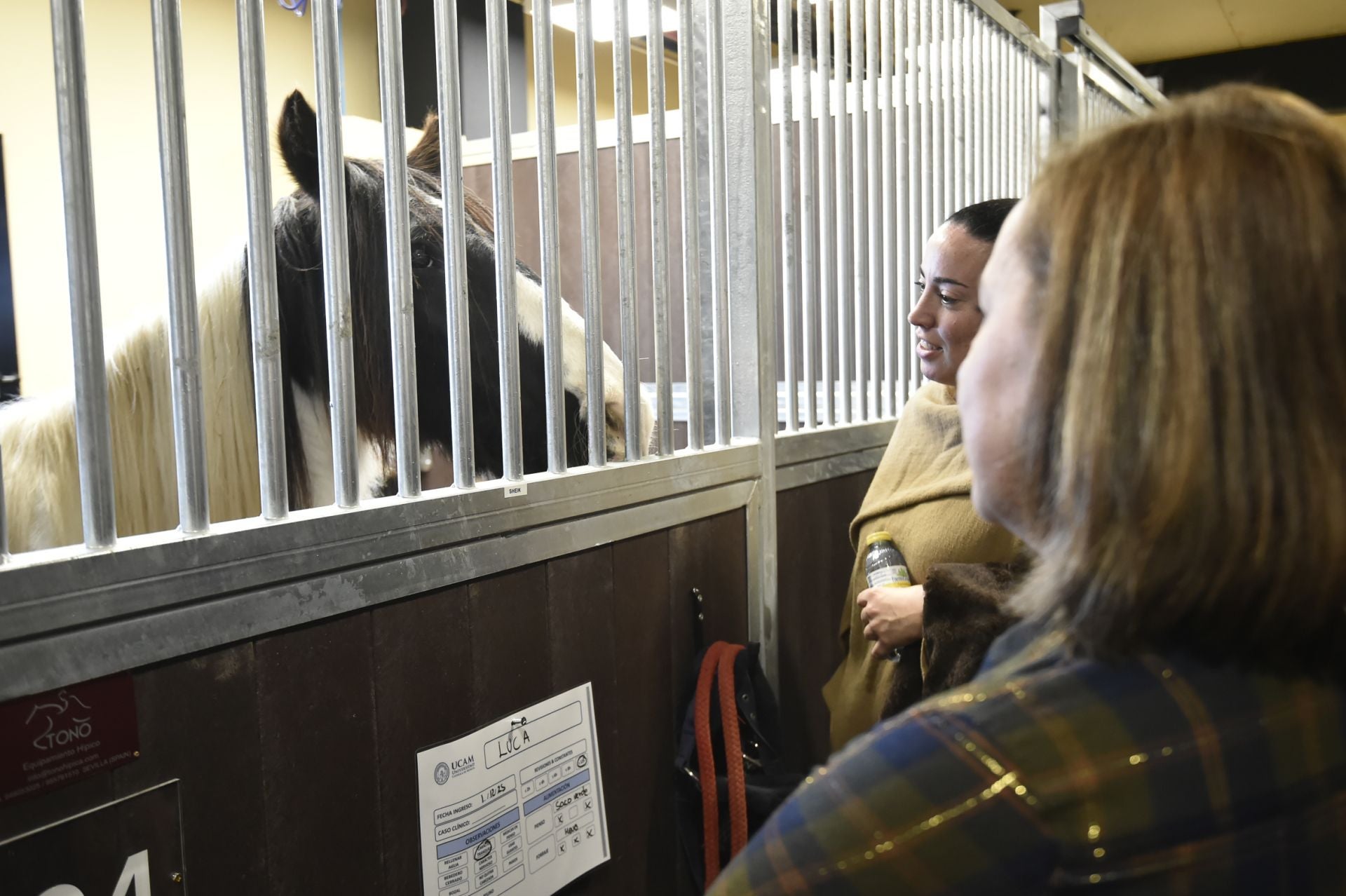 La inauguración del Hospital Veterinario de la UCAM, en imágenes