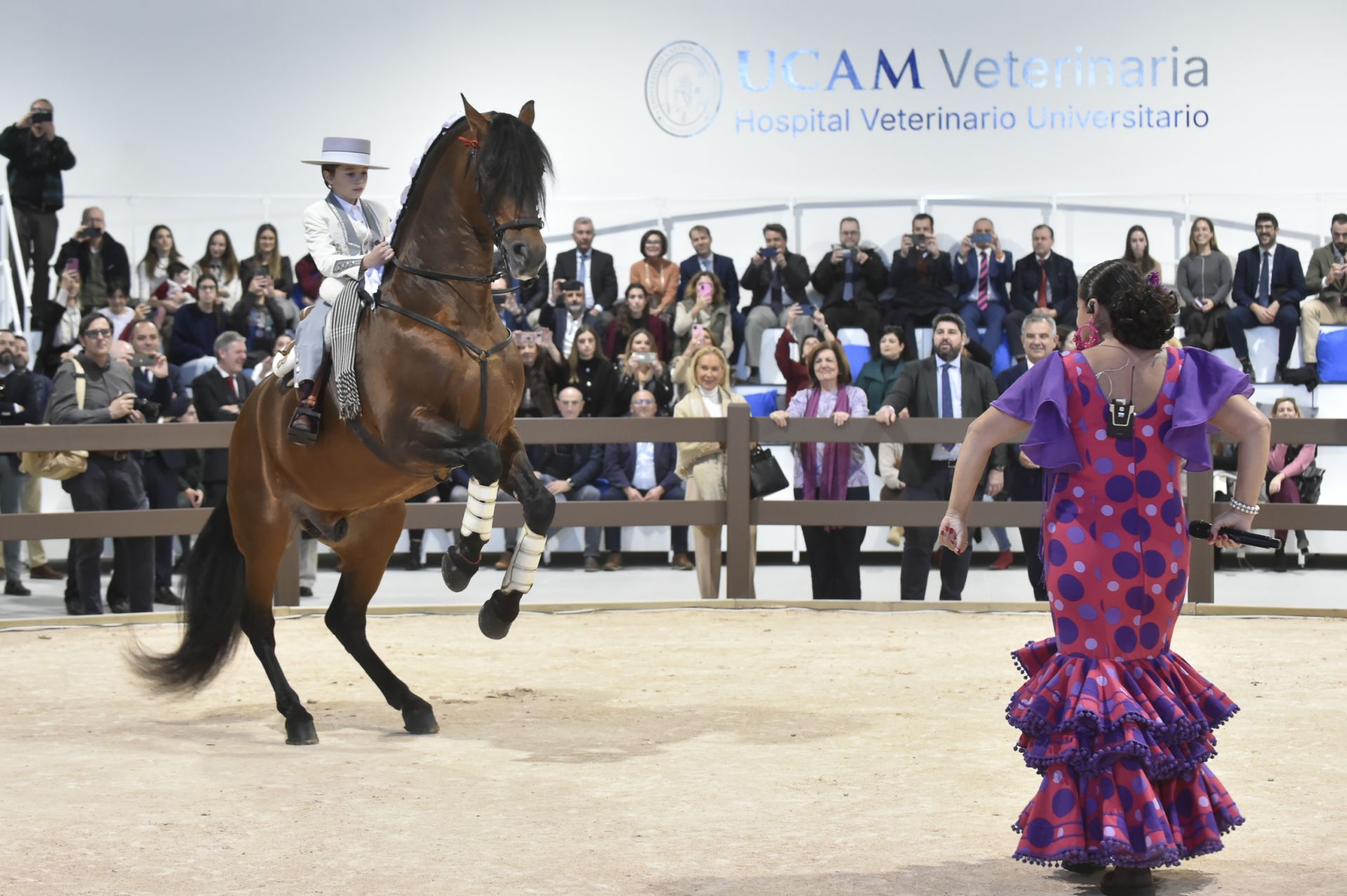 La inauguración del Hospital Veterinario de la UCAM, en imágenes