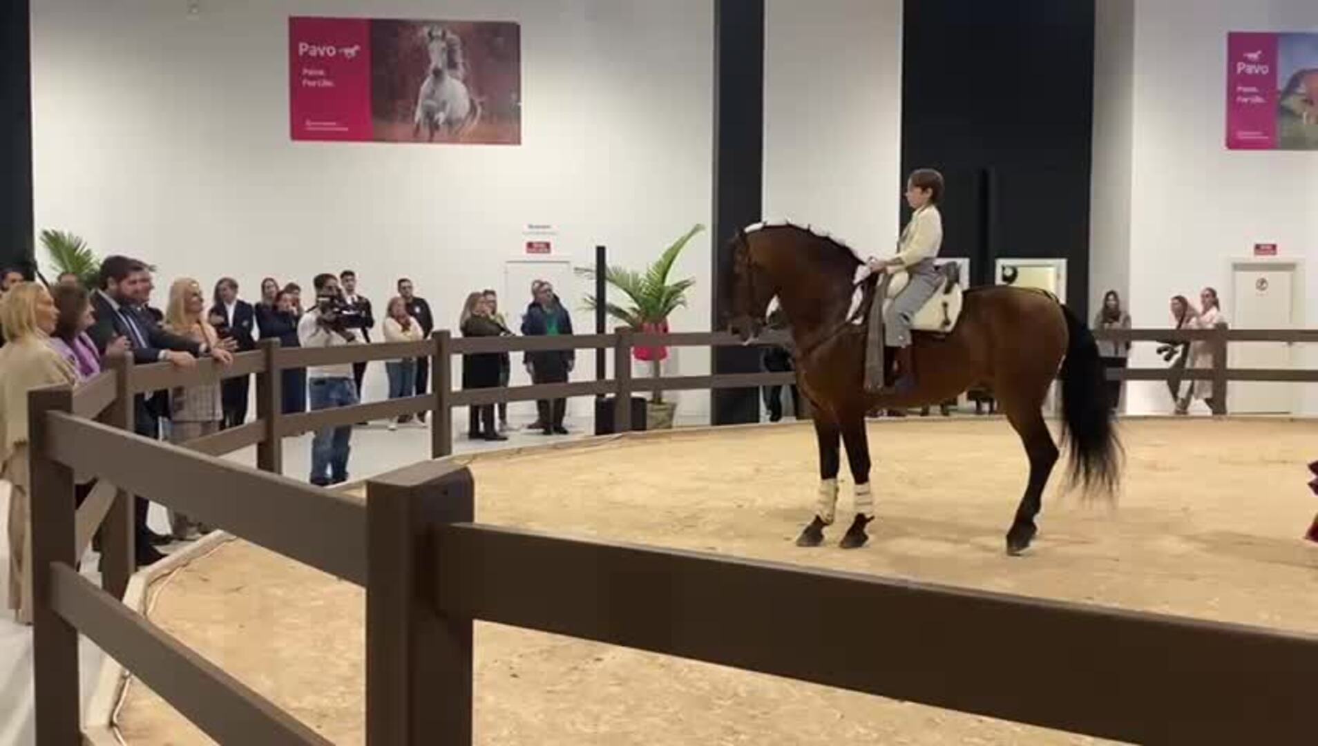 El Hospital Veterinario de la UCAM dispone de quirófanos para equinos y servicio de hospitalización y atención las 24 horas