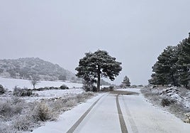 Nieve en Puerto Alto en la zona de Cañada de la Cruz, en Moratalla.