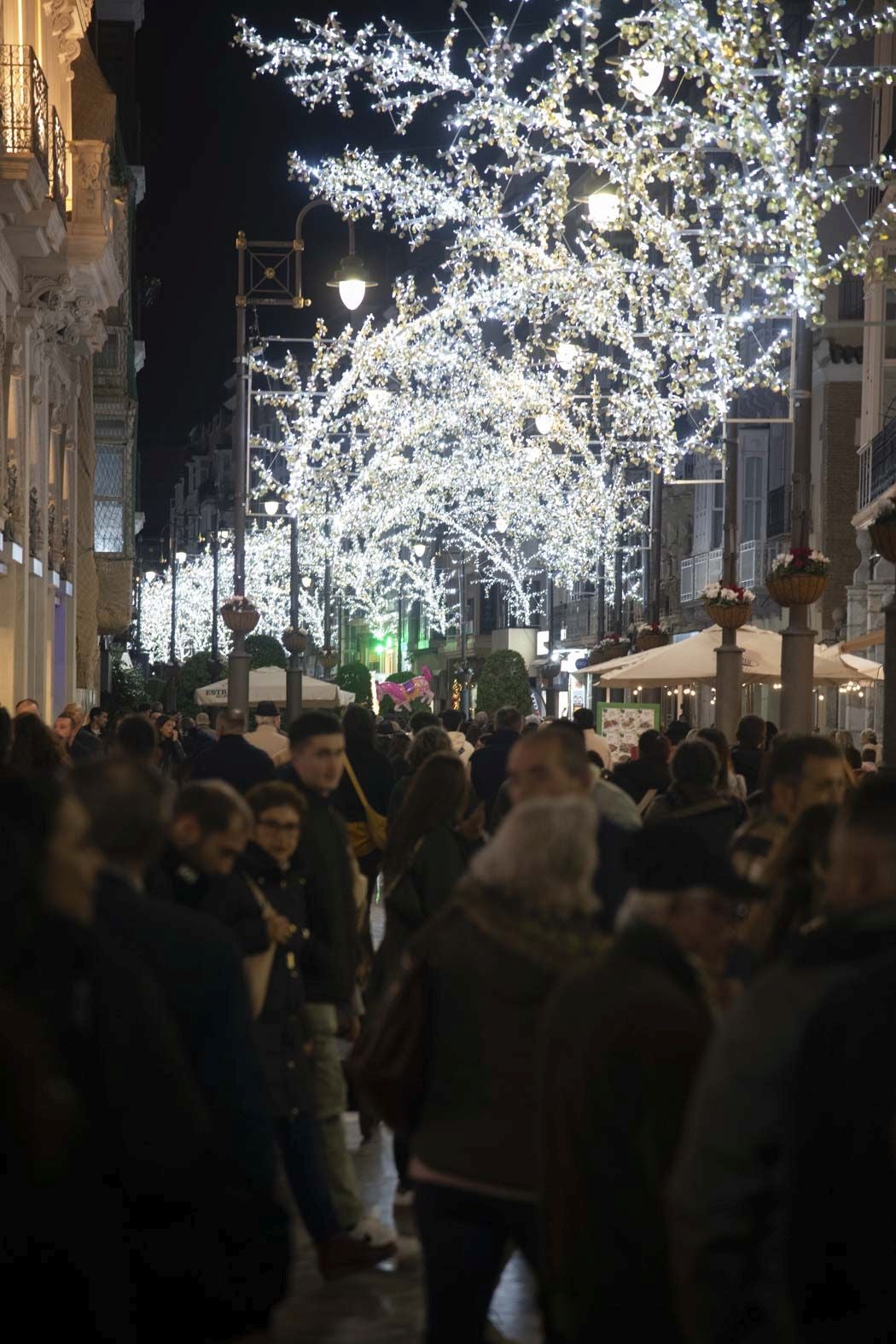 El encendido de las luces navideñas de Cartagena, en imágenes