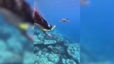 Lola Lolita y Sofía Surferss disfrutan del paraíso natural de ...